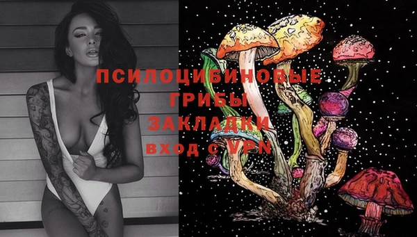 ECSTASY Навашино