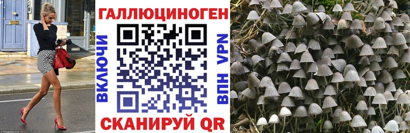 блэк спрут сайт Новомичуринск Галлюциногенные грибы мухоморы